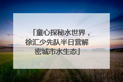 童心探秘水世界，徐汇少先队半日营解密城市水生态