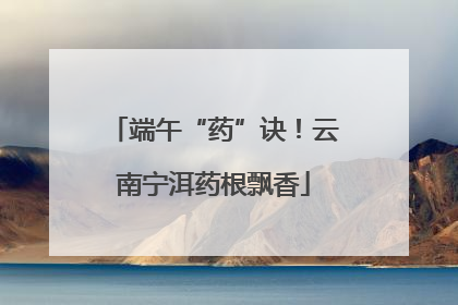 端午“药”诀！云南宁洱药根飘香