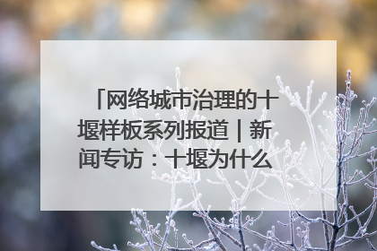网络城市治理的十堰样板系列报道｜新闻专访：十堰为什么成为“黑马型”城市治理网络维度典型