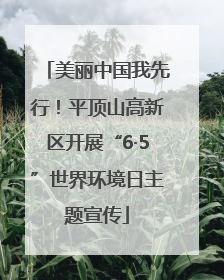 美丽中国我先行！平顶山高新区开展“6·5”世界环境日主题宣传
