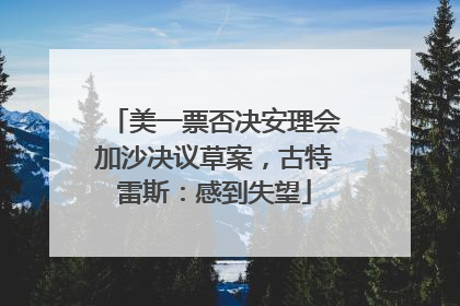 美一票否决安理会加沙决议草案，古特雷斯：感到失望