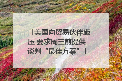 美国向贸易伙伴施压 要求周三前提供谈判“最佳方案”