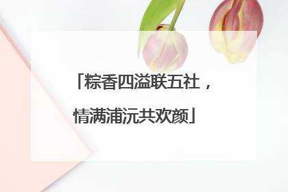 粽香四溢联五社，情满浦沅共欢颜