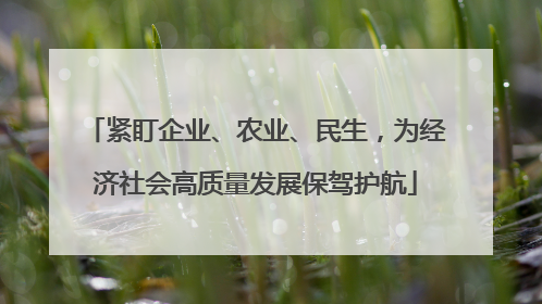 紧盯企业、农业、民生，为经济社会高质量发展保驾护航