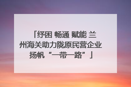 纾困 畅通 赋能 兰州海关助力陇原民营企业扬帆“一带一路”