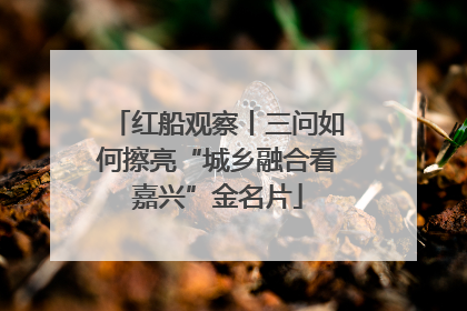 红船观察丨三问如何擦亮“城乡融合看嘉兴”金名片