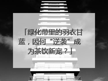 绿化带里的羽衣甘蓝，因何“逆袭”成为茶饮新宠？