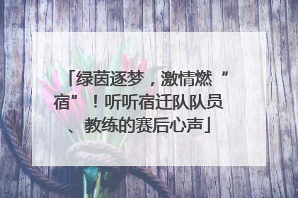 绿茵逐梦，激情燃“宿”！听听宿迁队队员、教练的赛后心声