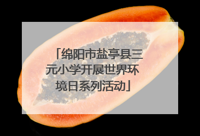 绵阳市盐亭县三元小学开展世界环境日系列活动