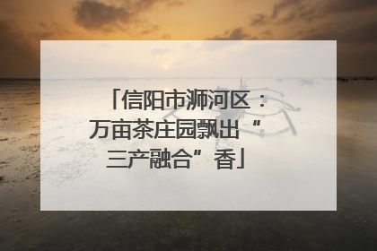 信阳市浉河区：万亩茶庄园飘出“三产融合”香