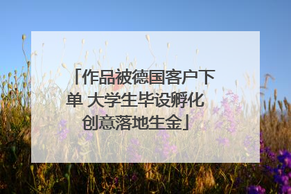 作品被德国客户下单 大学生毕设孵化创意落地生金