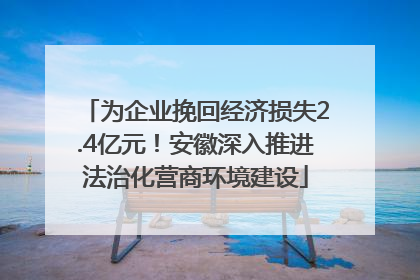 为企业挽回经济损失2.4亿元！安徽深入推进法治化营商环境建设