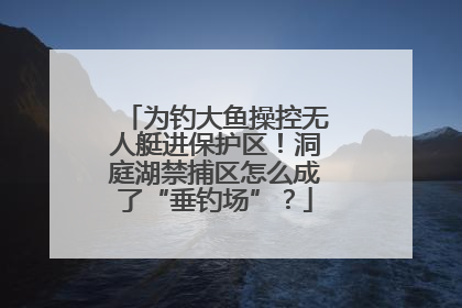 为钓大鱼操控无人艇进保护区！洞庭湖禁捕区怎么成了“垂钓场”？