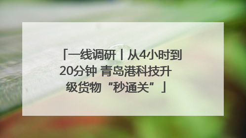 一线调研丨从4小时到20分钟 青岛港科技升级货物“秒通关”