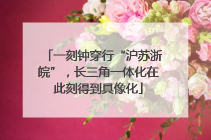 一刻钟穿行“沪苏浙皖”，长三角一体化在此刻得到具像化