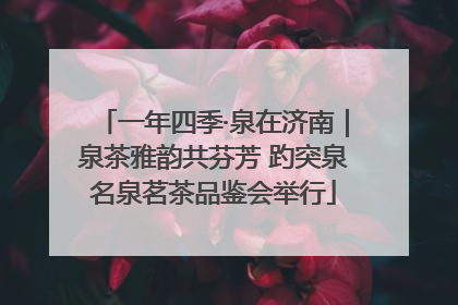 一年四季·泉在济南｜泉茶雅韵共芬芳 趵突泉名泉茗茶品鉴会举行