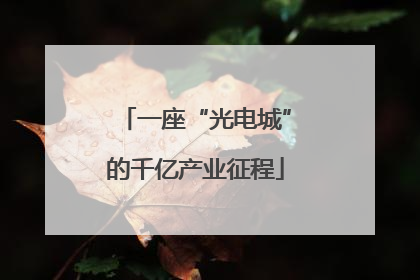 一座“光电城”的千亿产业征程