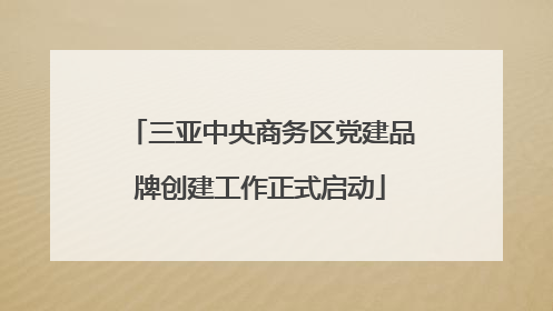 三亚中央商务区党建品牌创建工作正式启动