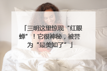 三明这里惊现“红眼蝉”！它很神秘，被誉为“最美知了”