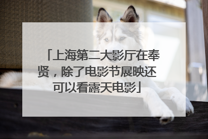 上海第二大影厅在奉贤，除了电影节展映还可以看露天电影
