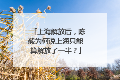 上海解放后，陈毅为何说上海只能算解放了一半？