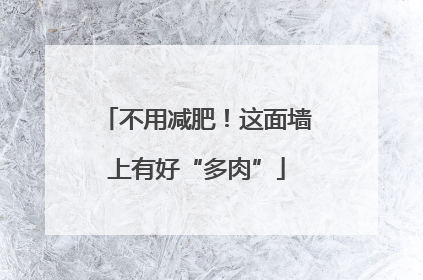 不用减肥！这面墙上有好“多肉”