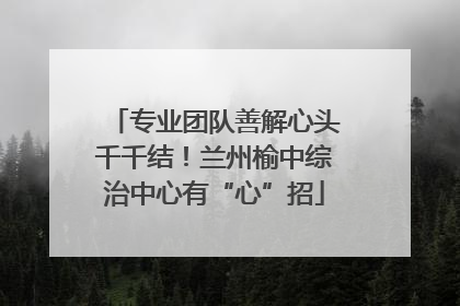 专业团队善解心头千千结！兰州榆中综治中心有“心”招