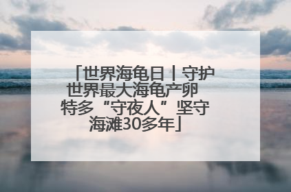 世界海龟日丨守护世界最大海龟产卵 特多“守夜人”坚守海滩30多年