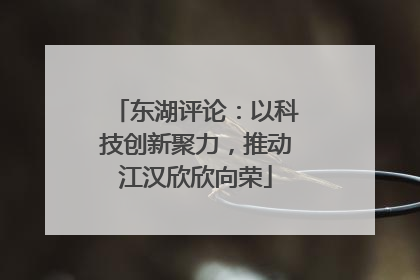 东湖评论：以科技创新聚力，推动江汉欣欣向荣
