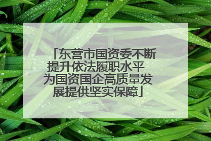 东营市国资委不断提升依法履职水平 为国资国企高质量发展提供坚实保障