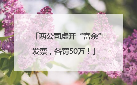 两公司虚开“富余”发票，各罚50万！