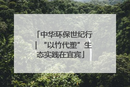 中华环保世纪行｜“以竹代塑”生态实践在宜宾