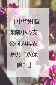 中华财险淄博中心支公司为果农提供“双保险”