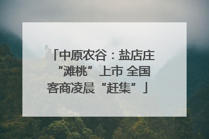 中原农谷：盐店庄“滩桃”上市 全国客商凌晨“赶集”