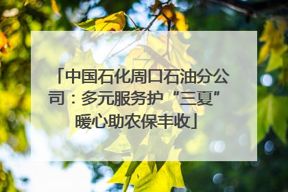中国石化周口石油分公司：多元服务护“三夏” 暖心助农保丰收