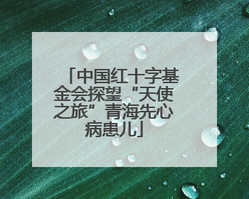 中国红十字基金会探望“天使之旅”青海先心病患儿