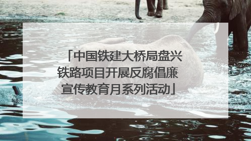 中国铁建大桥局盘兴铁路项目开展反腐倡廉宣传教育月系列活动