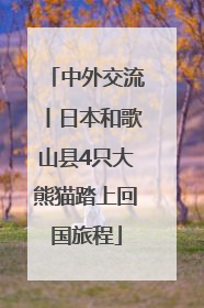 中外交流丨日本和歌山县4只大熊猫踏上回国旅程