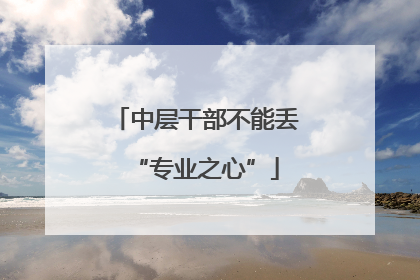 中层干部不能丢“专业之心”