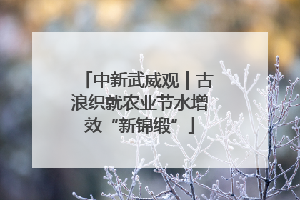 中新武威观｜古浪织就农业节水增效“新锦缎”