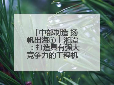 中部制造 扬帆出海①丨湘潭：打造具有强大竞争力的工程机械再制造基地