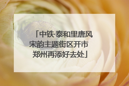 中铁·泰和里唐风宋韵主题街区开市 郑州再添好去处