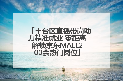 丰台区直播带岗助力精准就业 零距离解锁京东MALL200余热门岗位
