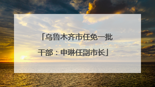 乌鲁木齐市任免一批干部：申琳任副市长