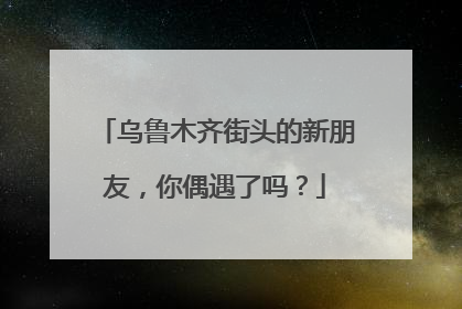乌鲁木齐街头的新朋友，你偶遇了吗？