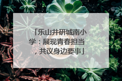 乐山井研城南小学：展现青春担当，共议身边要事