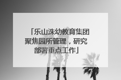 乐山洙幼教育集团聚焦园所管理，研究部署重点工作