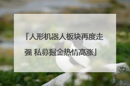人形机器人板块再度走强 私募掘金热情高涨