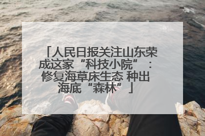 人民日报关注山东荣成这家“科技小院”：修复海草床生态 种出海底“森林”