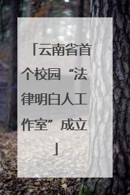 云南省首个校园“法律明白人工作室”成立